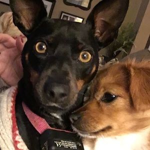 Meet your Posher, Kara